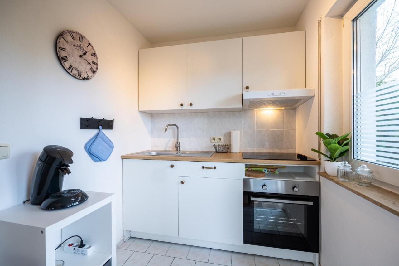 EG Wohnung, zentral, TOP Anbindung, mit großer Terrasse Dresden Exterior foto